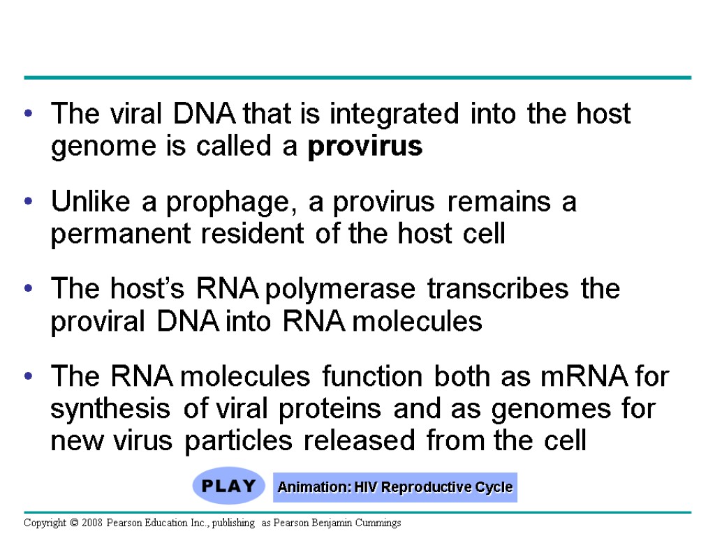 The viral DNA that is integrated into the host genome is called a provirus